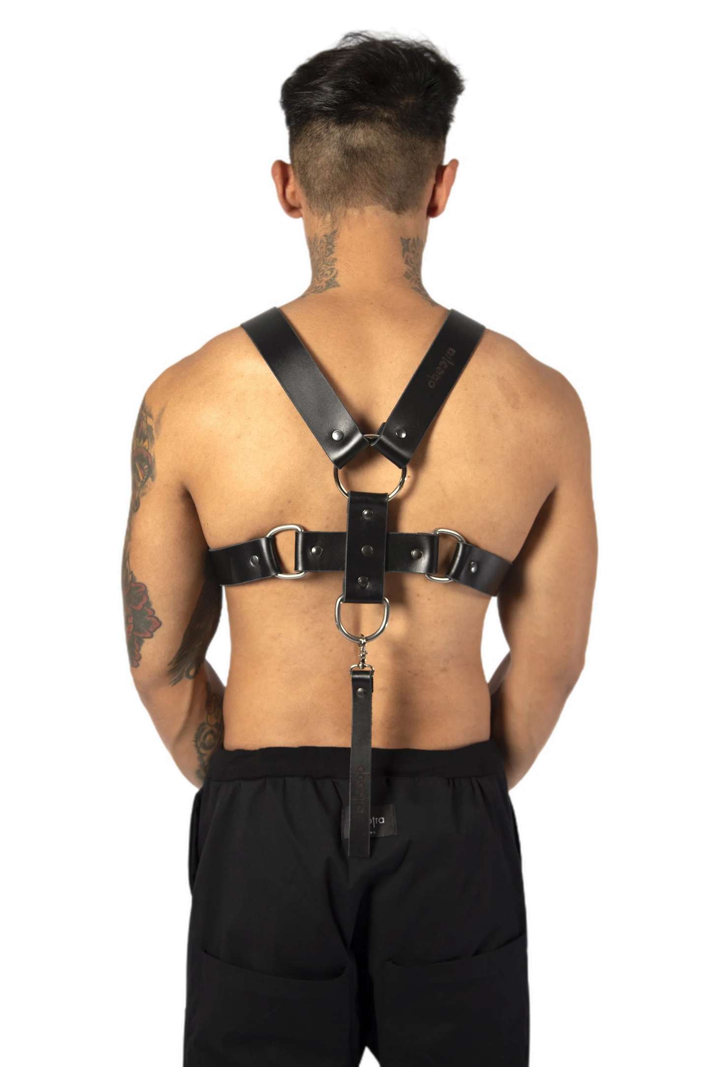 Ares harness