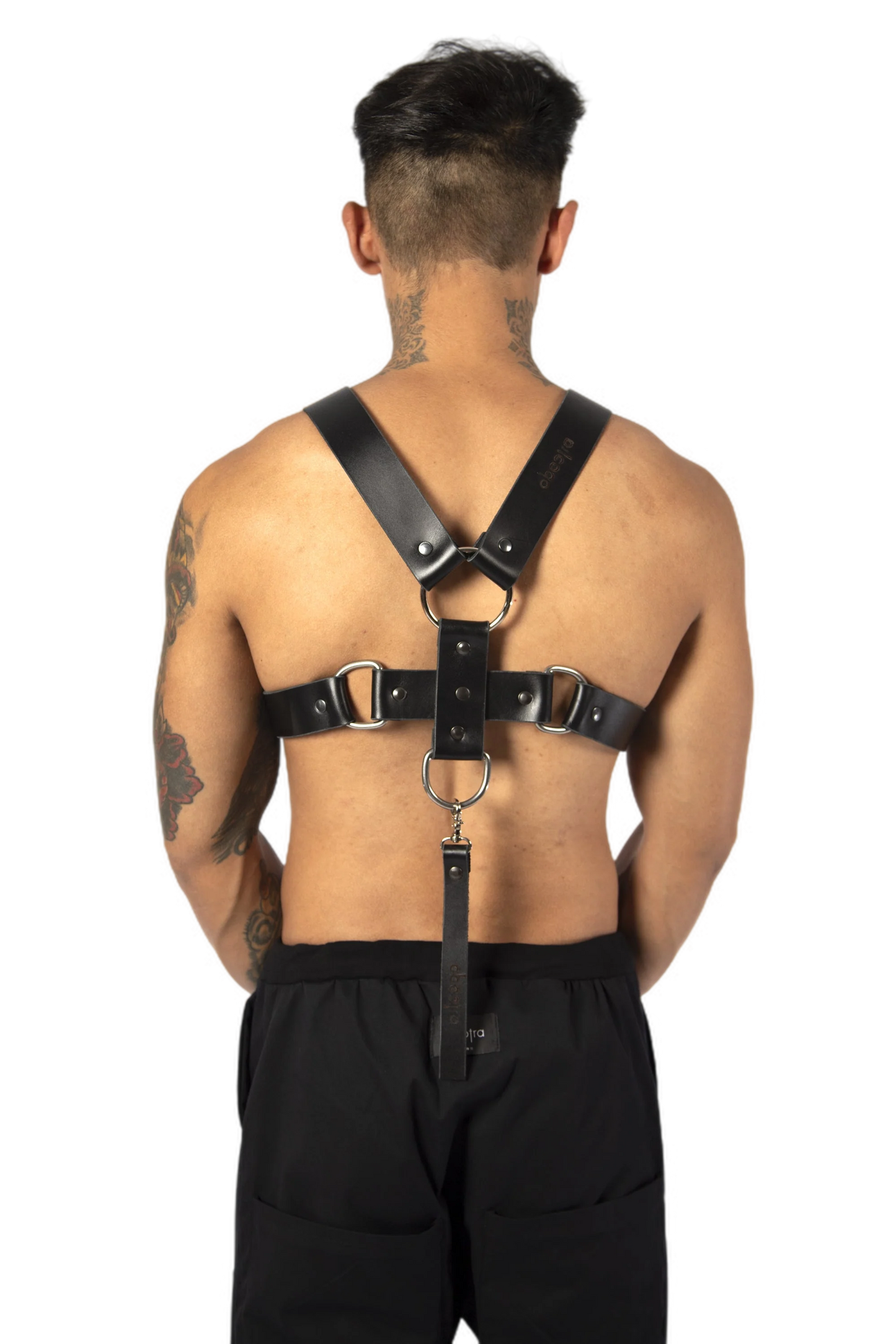 ARES harness