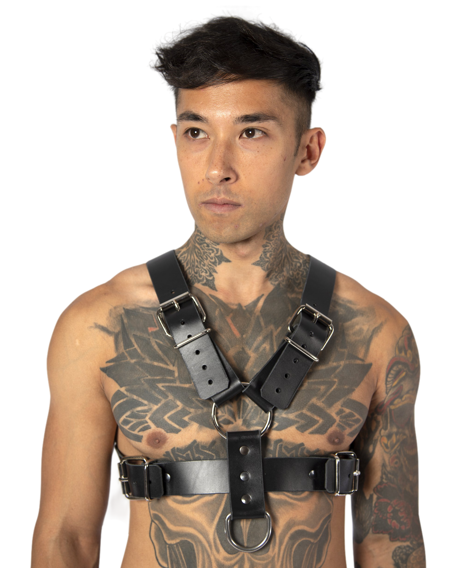 ARES harness