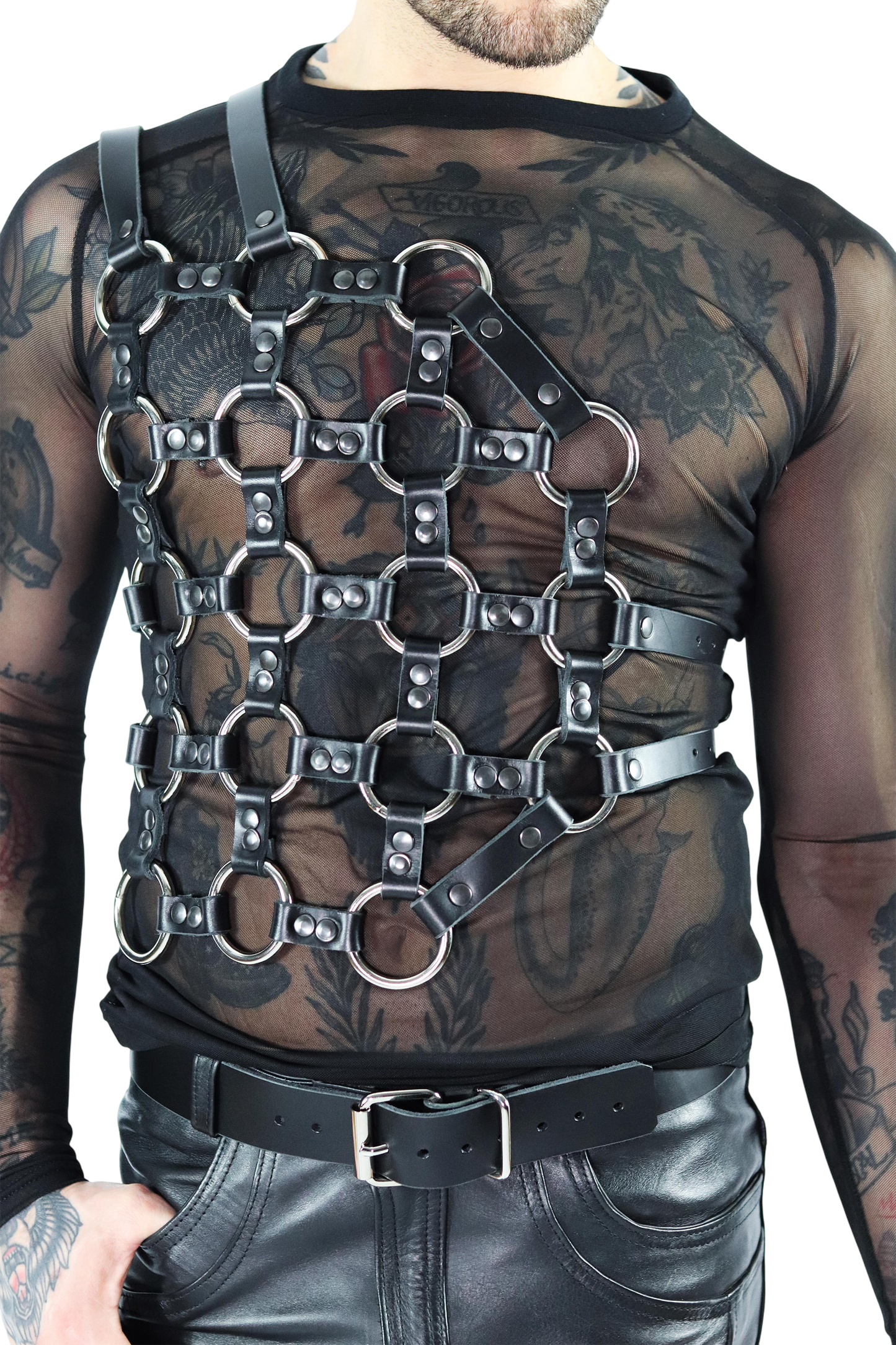 AXEL torso harness