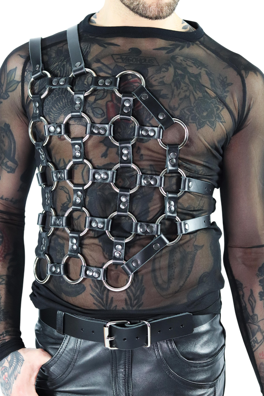 AXEL torso harness