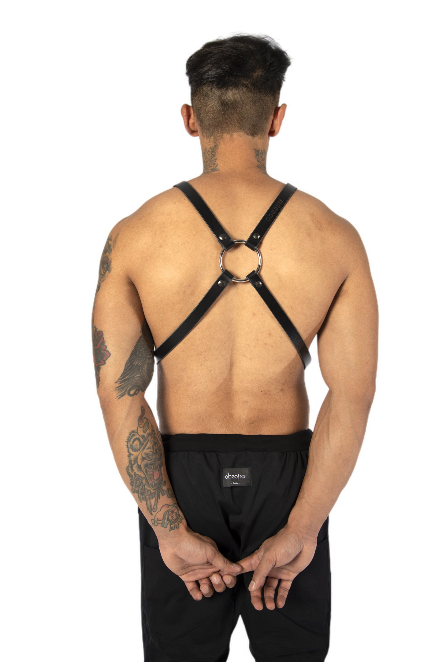 Double ring harness