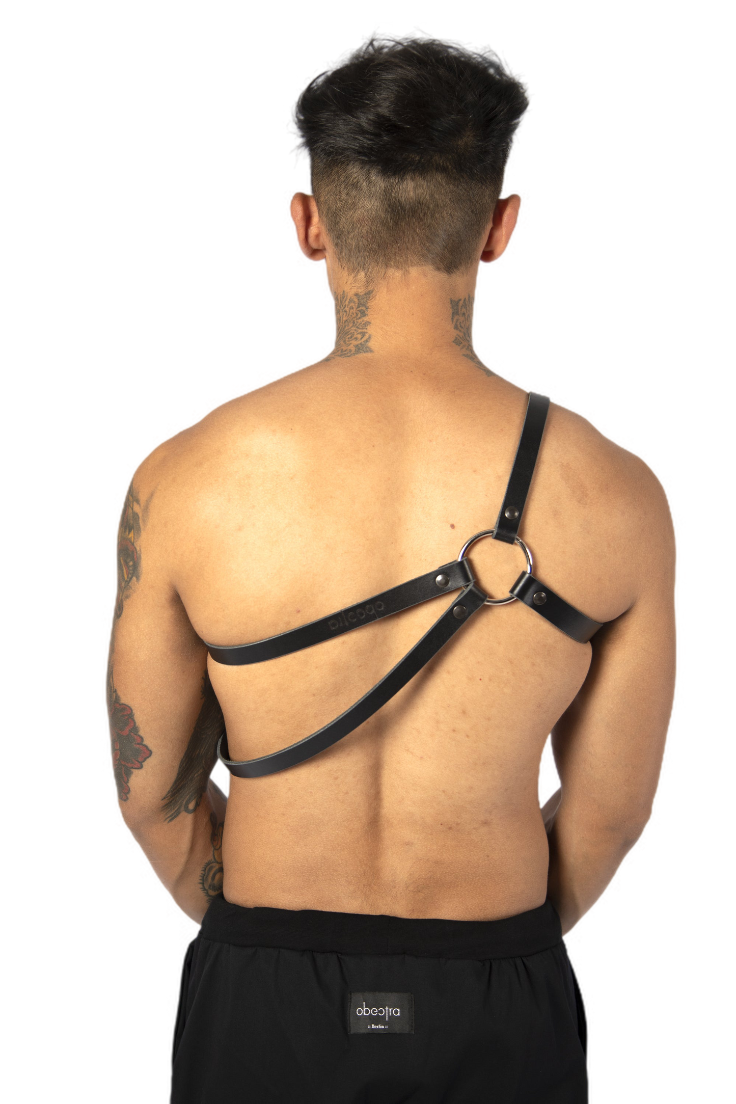 Double strap harness