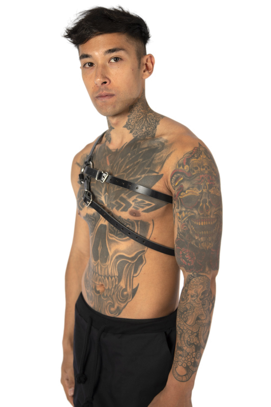 DOUBLE strap harness