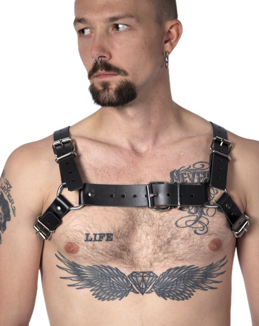H harness