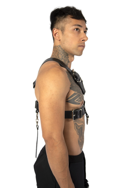 ARES harness