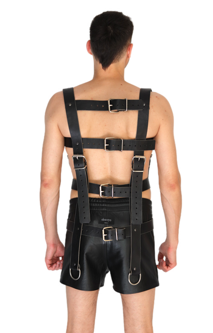 LOLLA harness