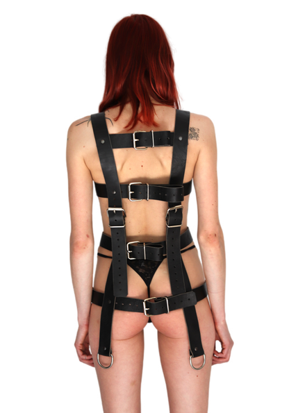 LOLLA harness