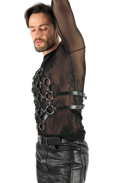 AXEL torso harness
