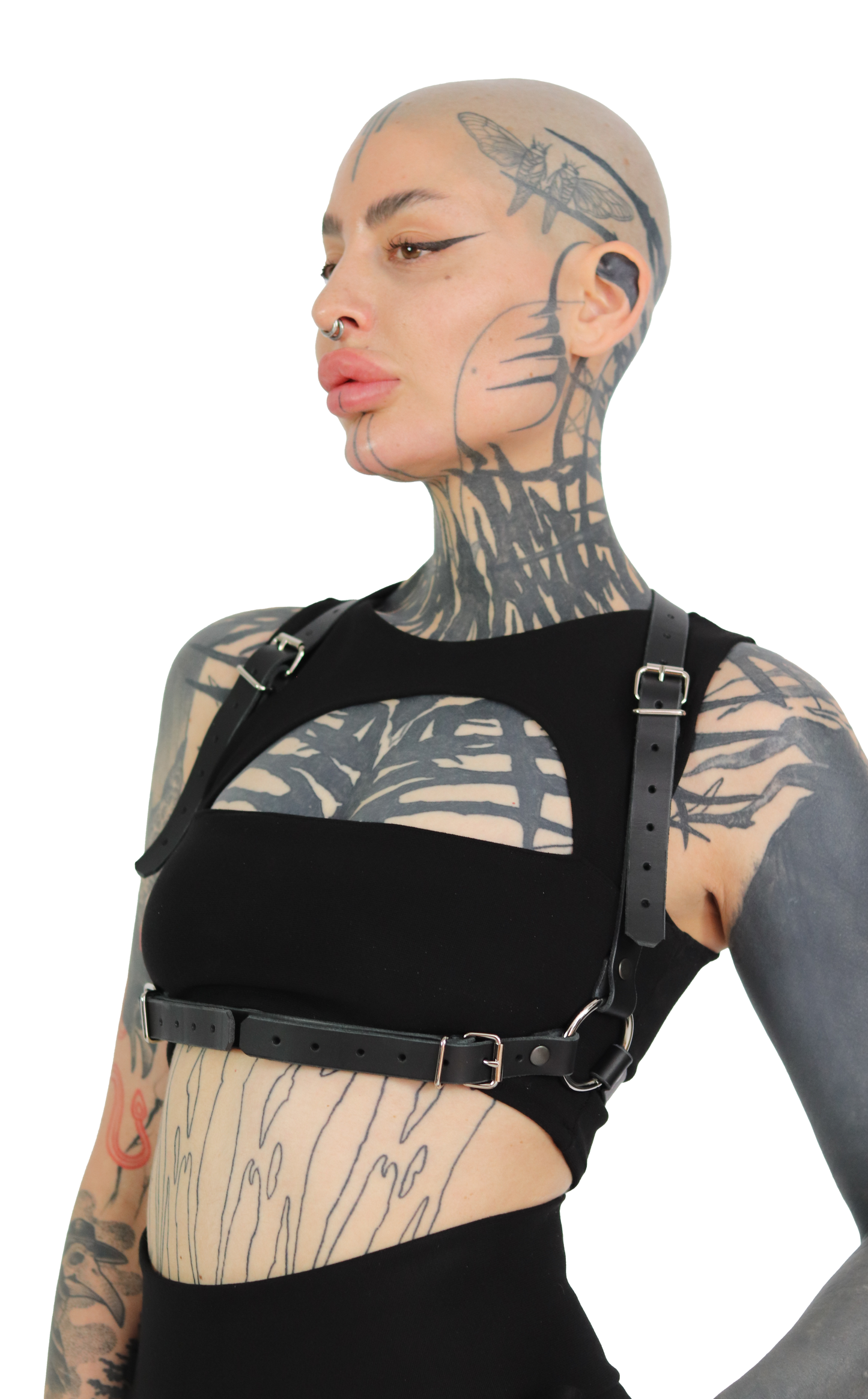 BYTE HARNESS