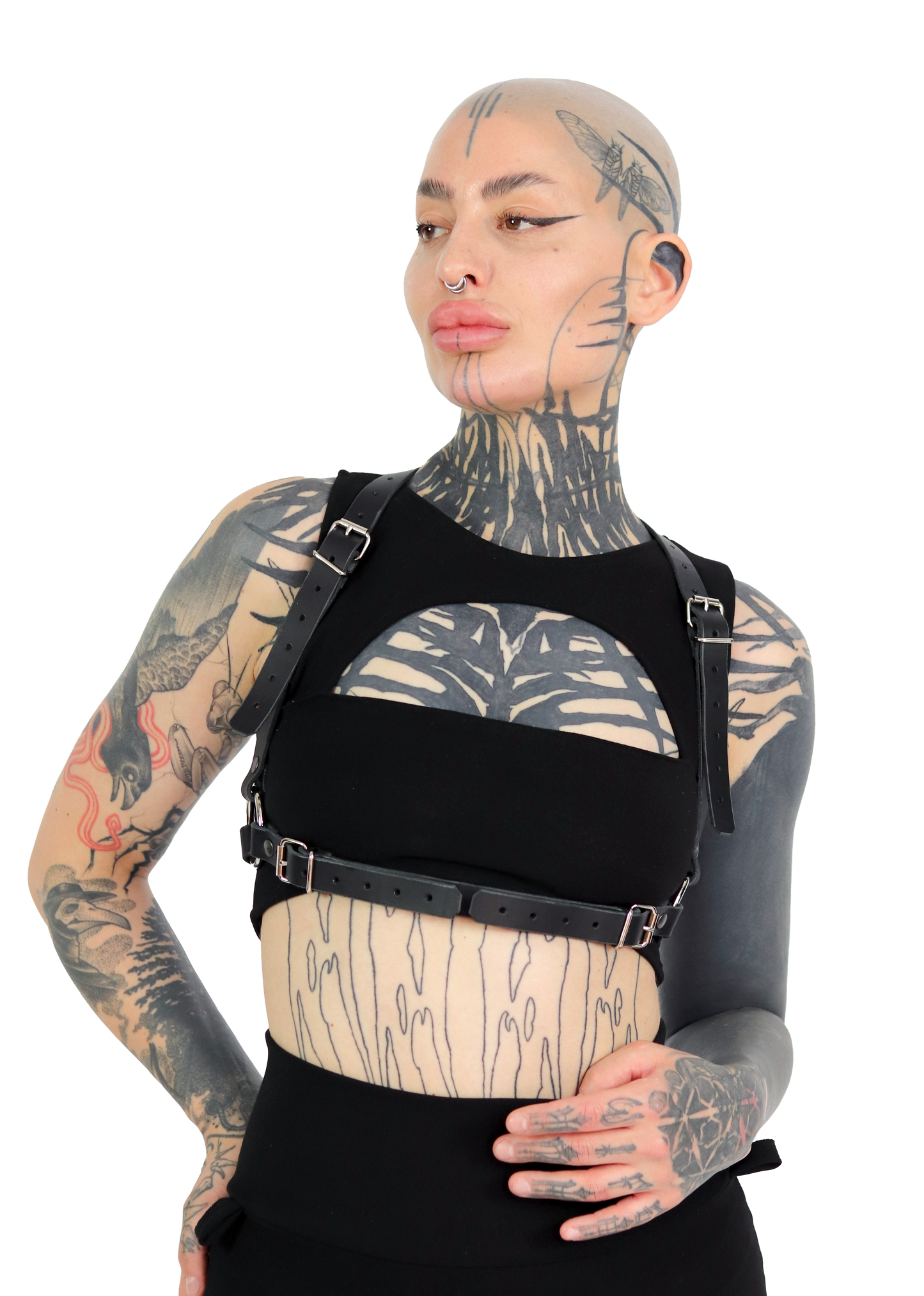 BYTE HARNESS