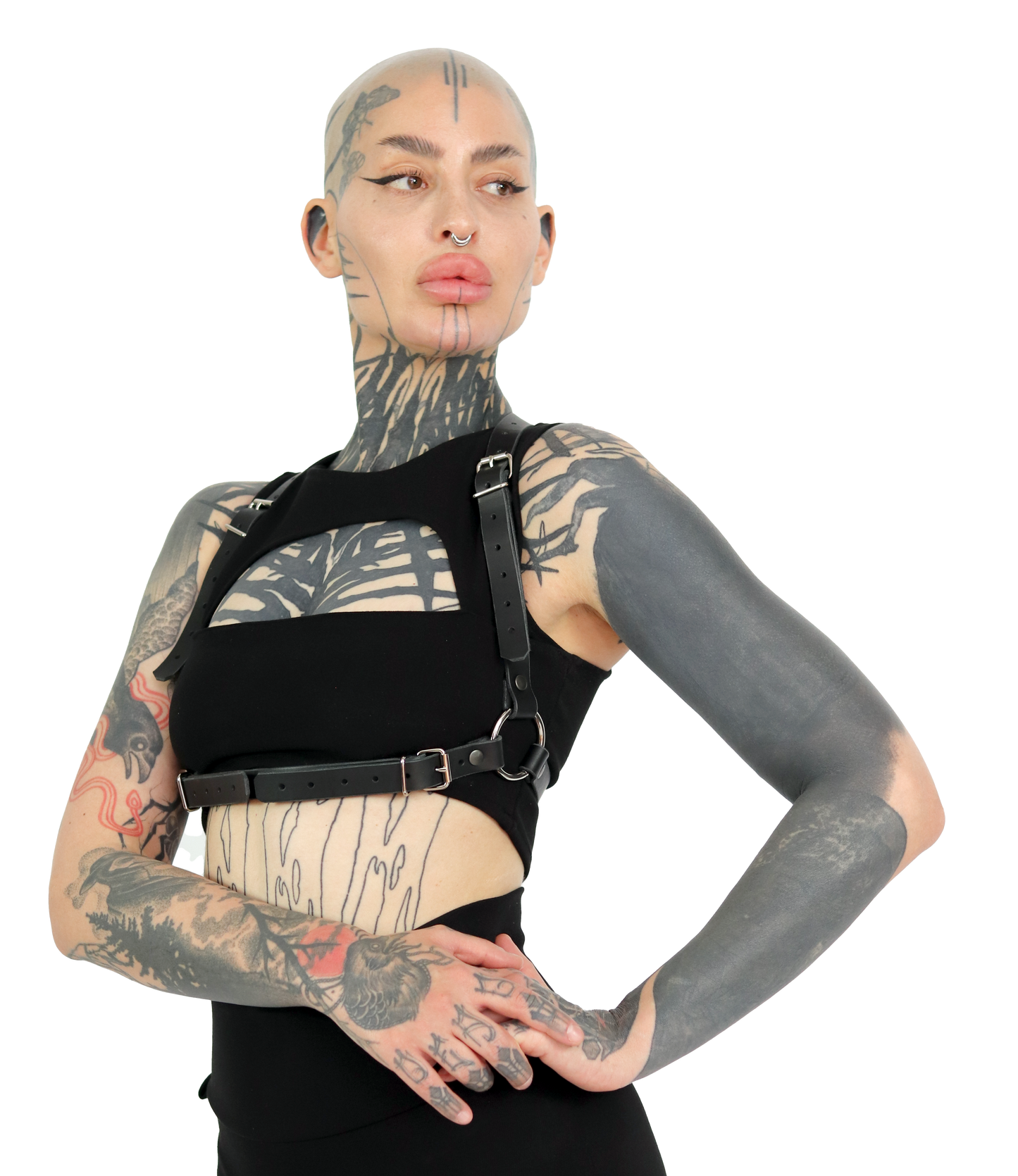 BYTE HARNESS