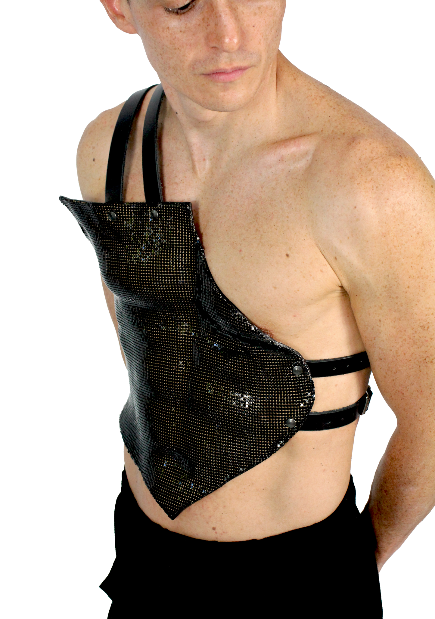 Disco plate harness