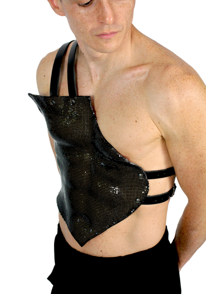 Disco plate harness