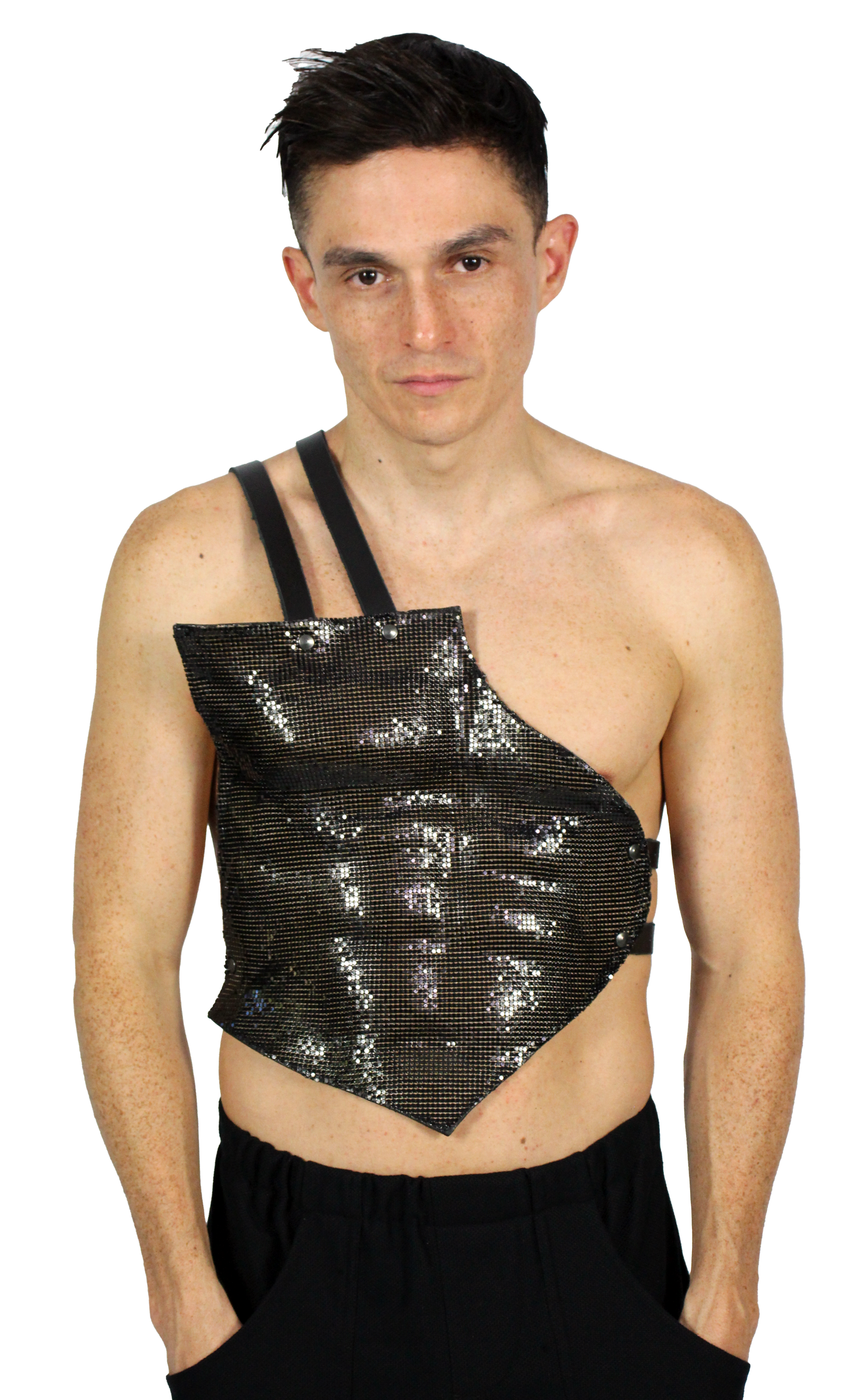 Disco plate harness