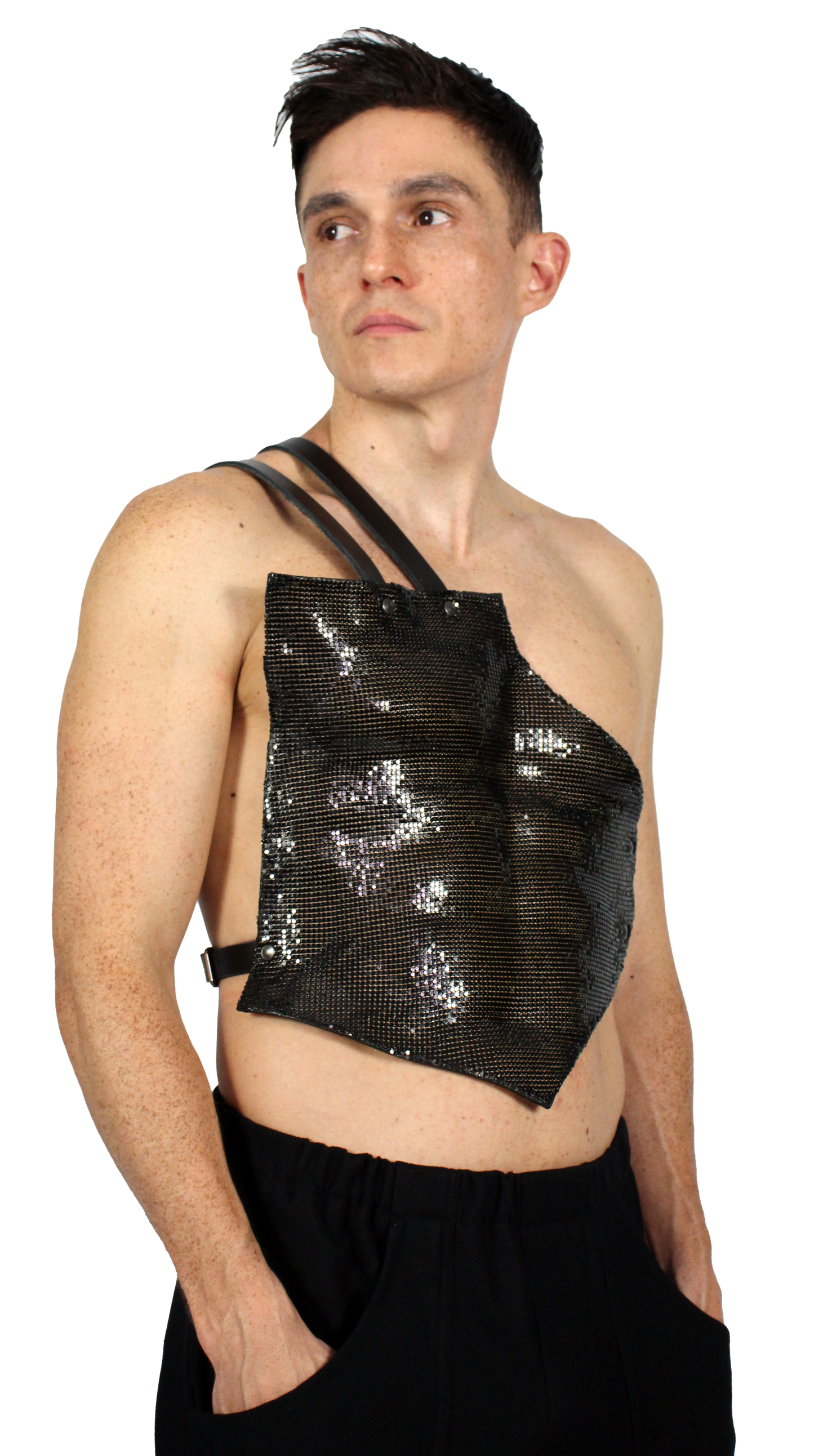 Disco plate harness