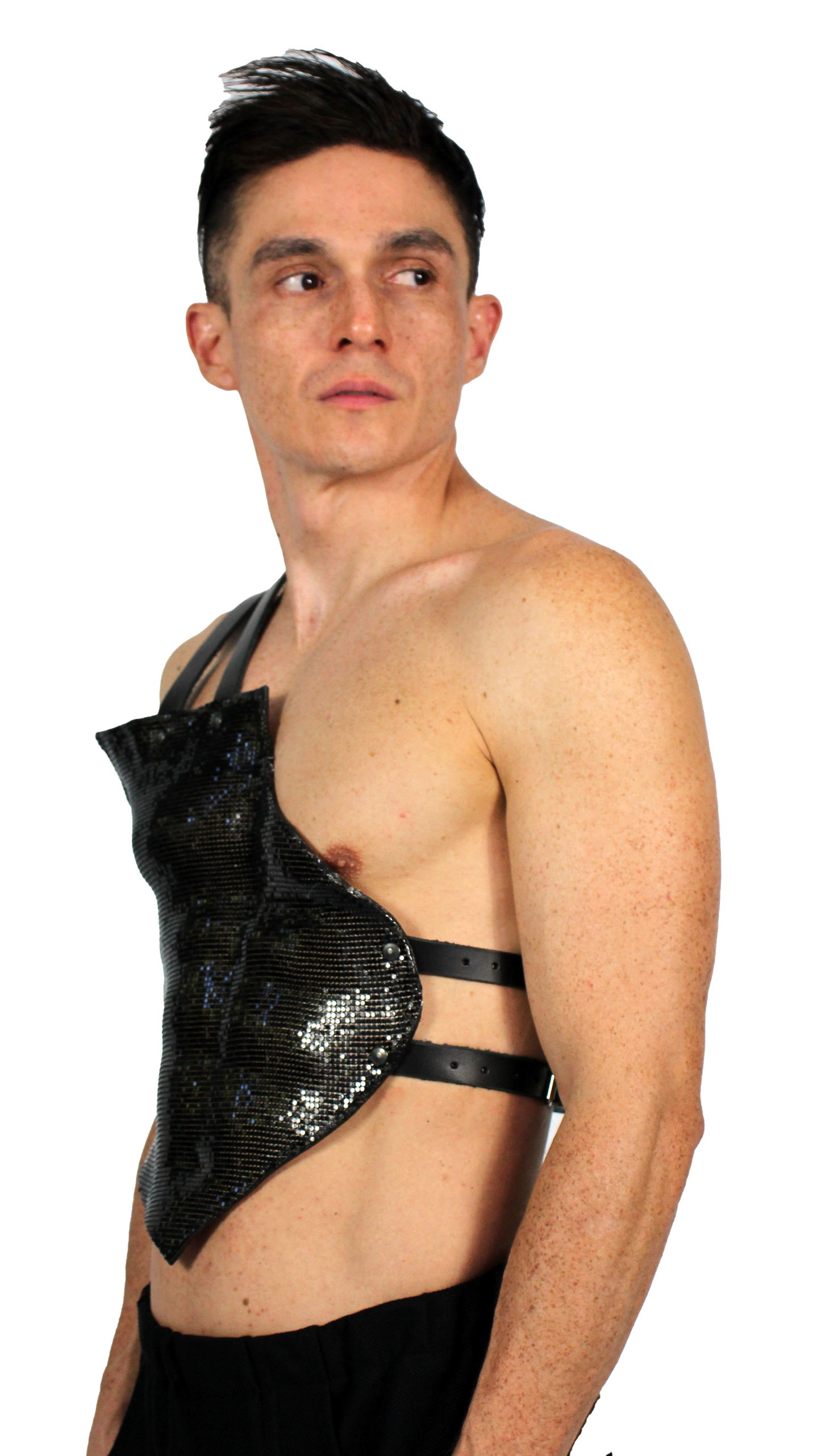 Disco plate harness