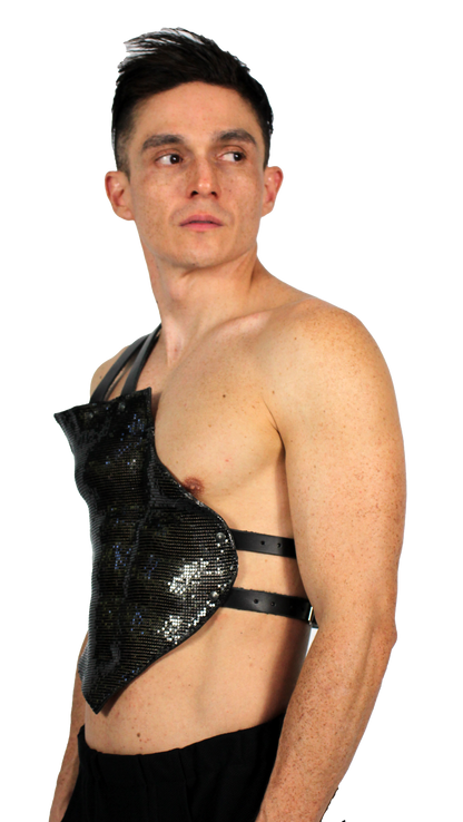 Disco plate harness