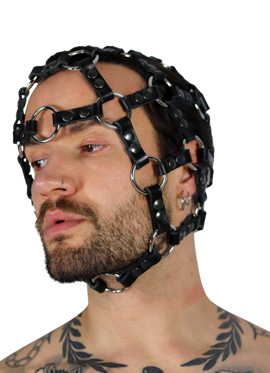 Ezra harness mask