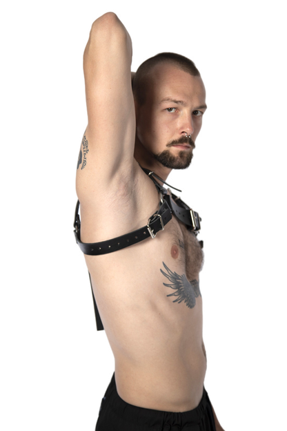 H harness