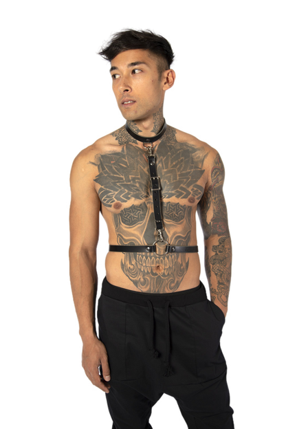 TAMI harness