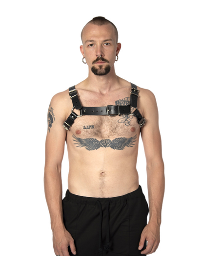 H harness