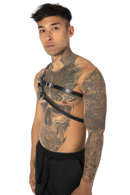 DOUBLE strap harness
