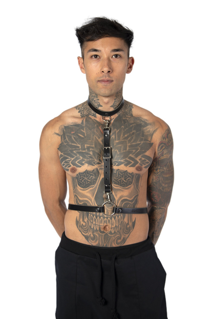 TAMI harness