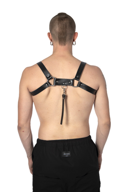 H harness
