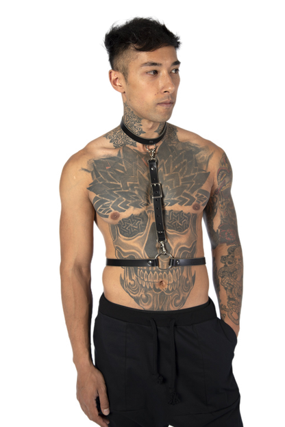 TAMI harness