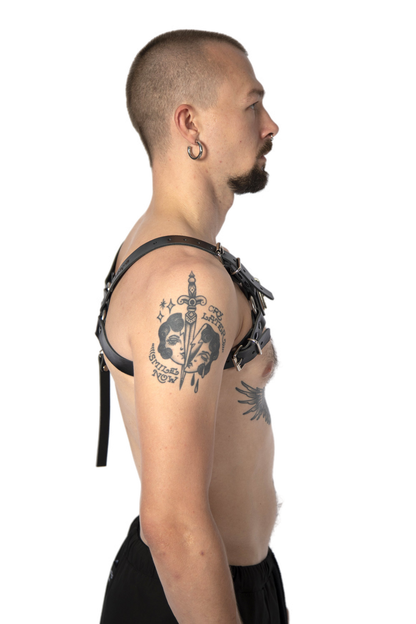 H harness
