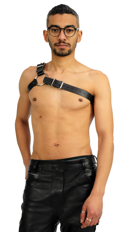 Y harness