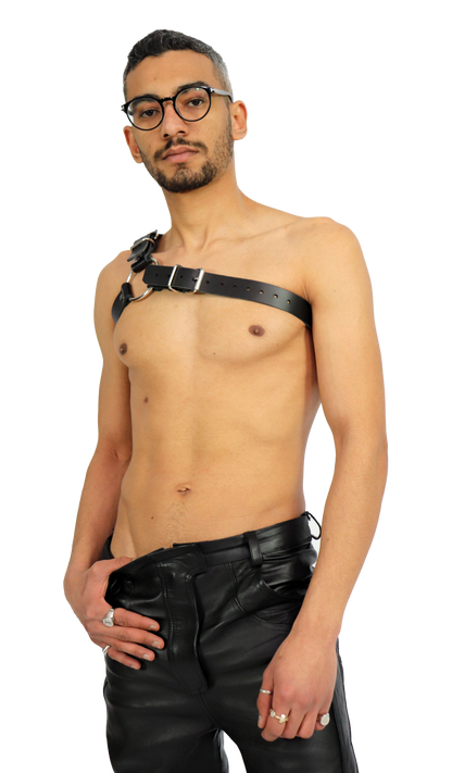 Y harness